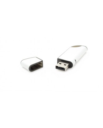 USB Flash / Jump Drive (2GB)